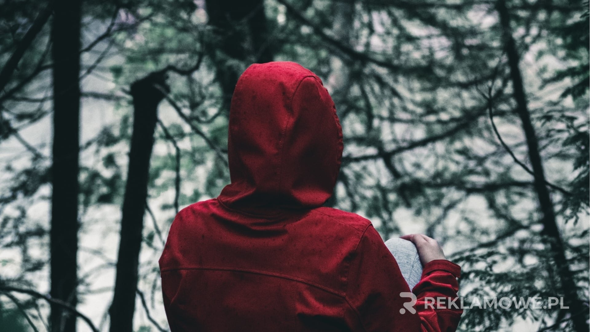 Wybór dostawcy bluz reklamowych – poradnik Bluza reklamowa z logo firmy